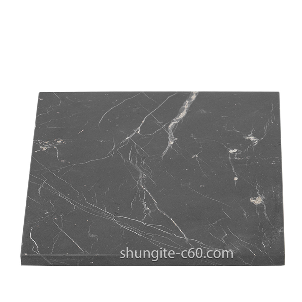 Shungite Shungit 100mm Electromagnetic Protection Plate Coaster Tile 2 Supplie