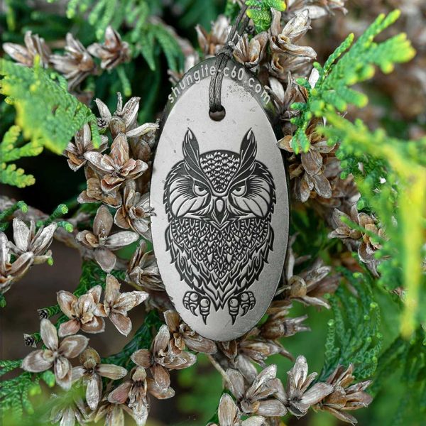 shungite pendant night owl from russia