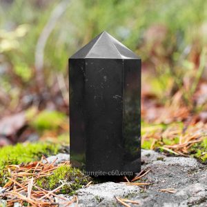 Shungite Unusual Gifts