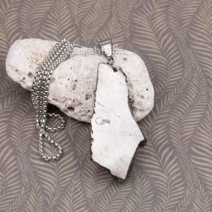 buy elite shungite pendant from Russia